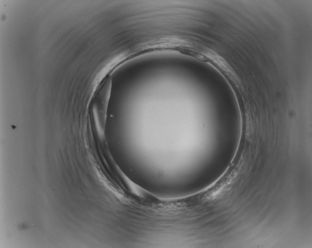 X0000069810850200605191044