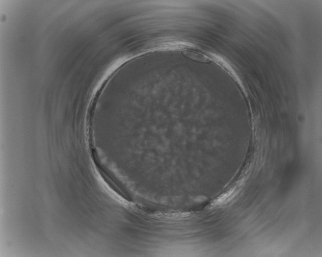 X0000069810851200605191044