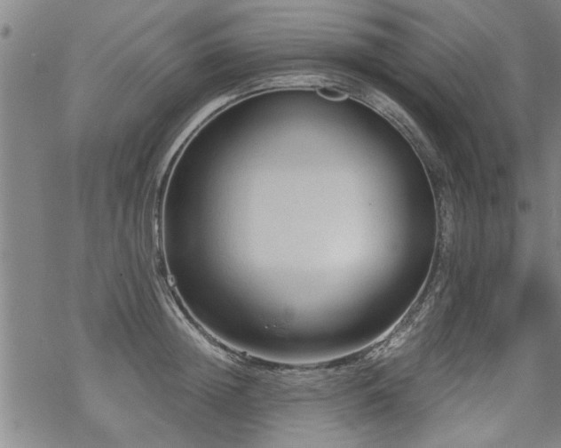 X0000069810852200605191044