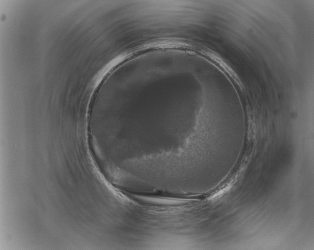 X0000069810853200605191044