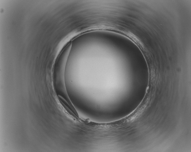 X0000069810854200605191044