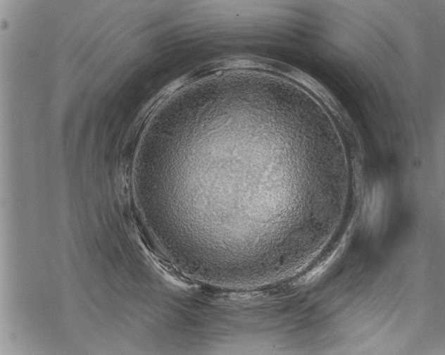 X0000069810857200605191044