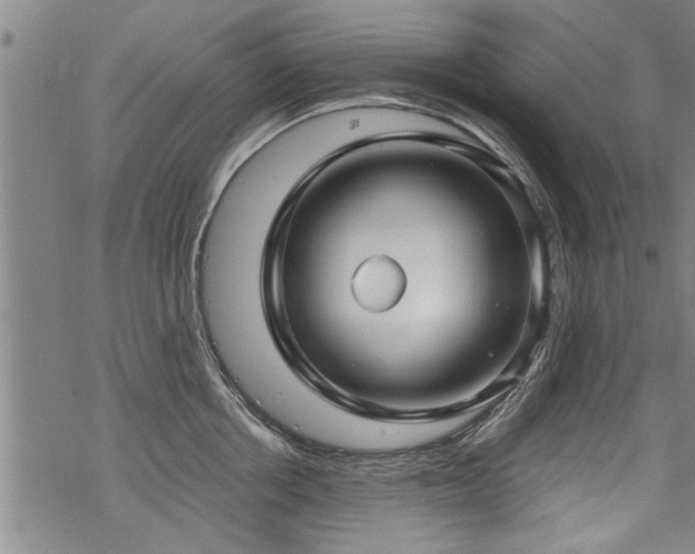 X0000069810858200605191044