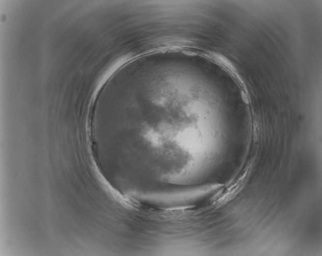 X0000069810859200605191044