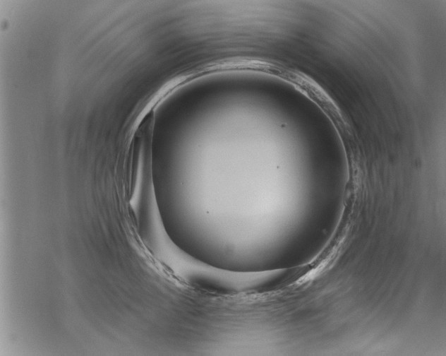 X0000069810860200605191044