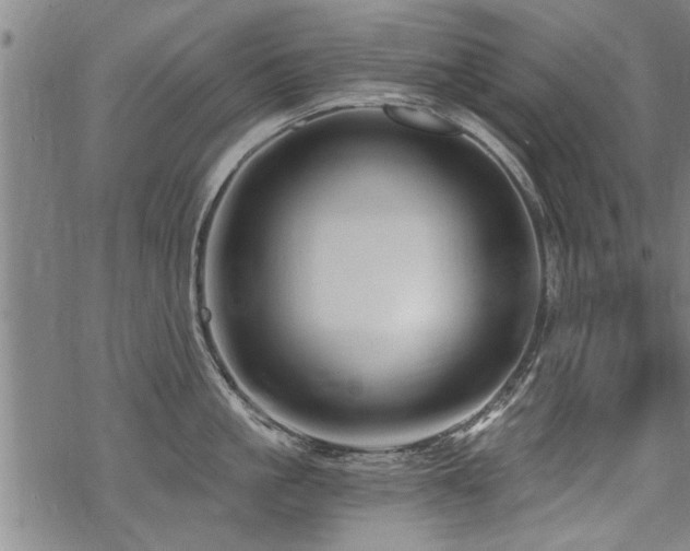 X0000069810861200605191044