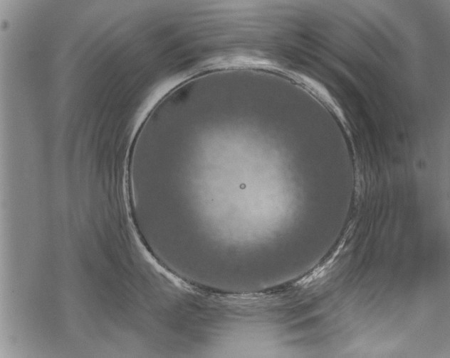 X0000069810863200605191044