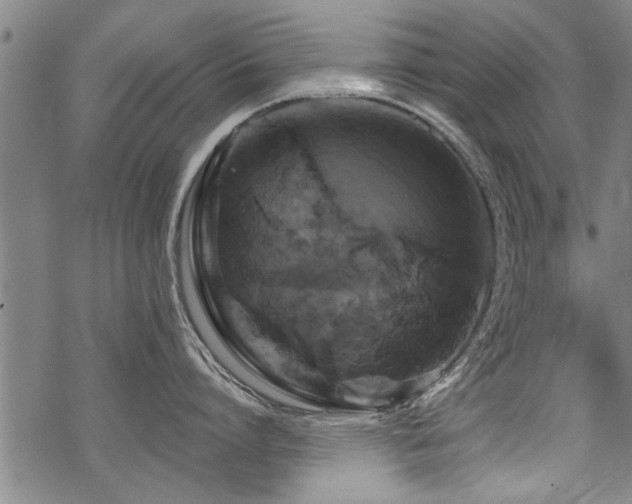 X0000069810864200605191044