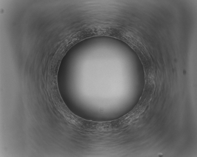 X0000069810865200605191043