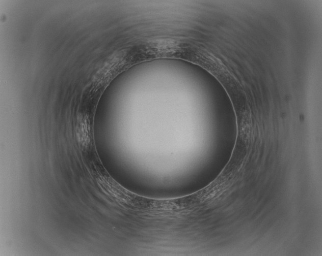 X0000069810866200605191043