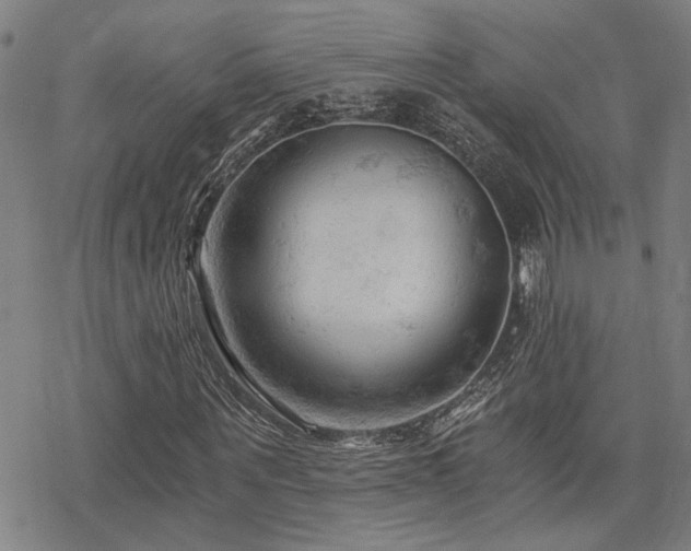 X0000069810867200605191043