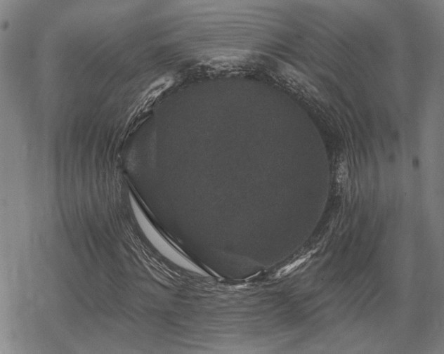 X0000069810868200605191043