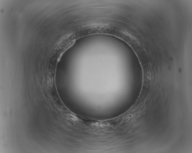 X0000069810869200605191043