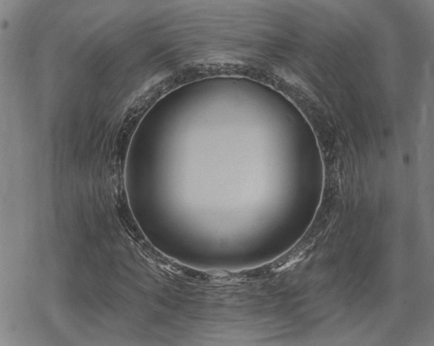 X0000069810870200605191043