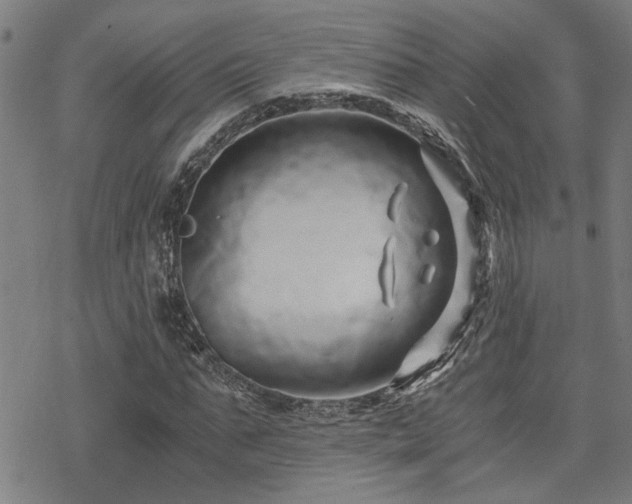 X0000069810871200605191043