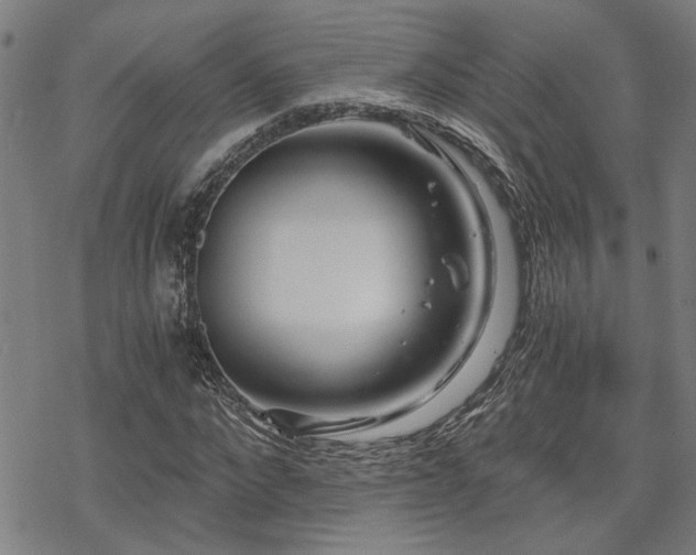 X0000069810872200605191043