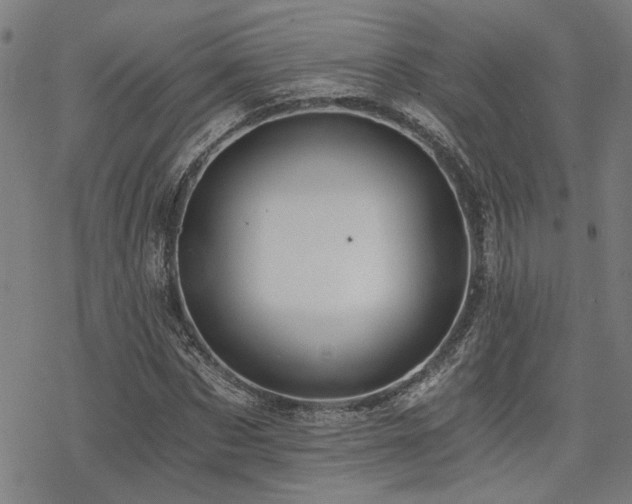 X0000069810873200605191043