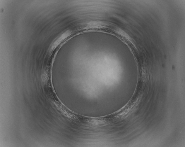 X0000069810874200605191043