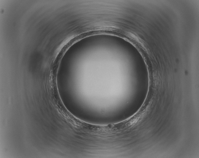 X0000069810875200605191043