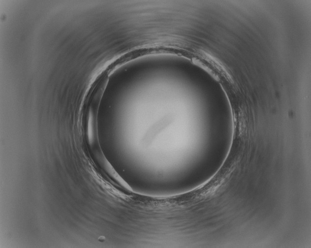 X0000069810876200605191043