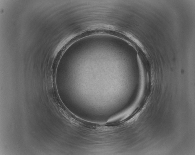 X0000069810877200605191043