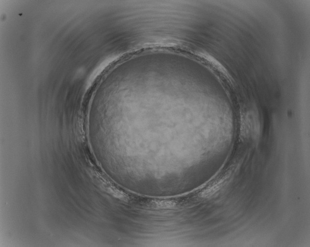 X0000069810878200605191043