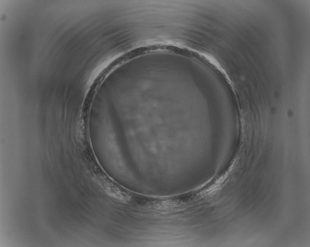 X0000069810879200605191043