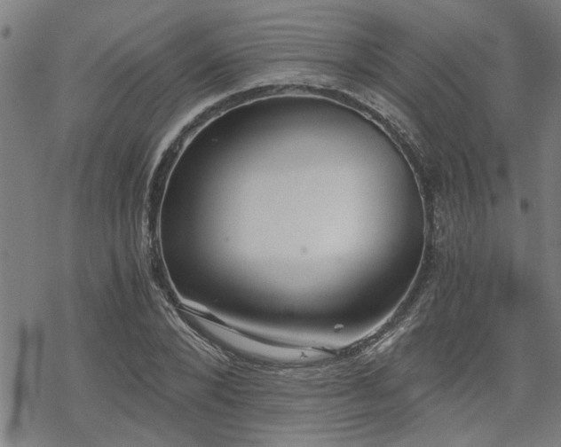 X0000069810880200605191043