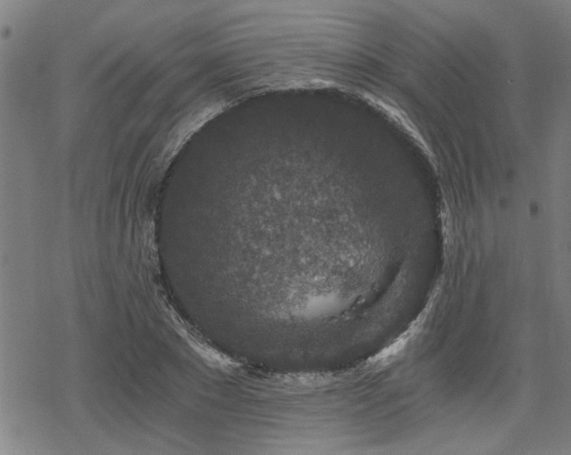 X0000069810881200605191043