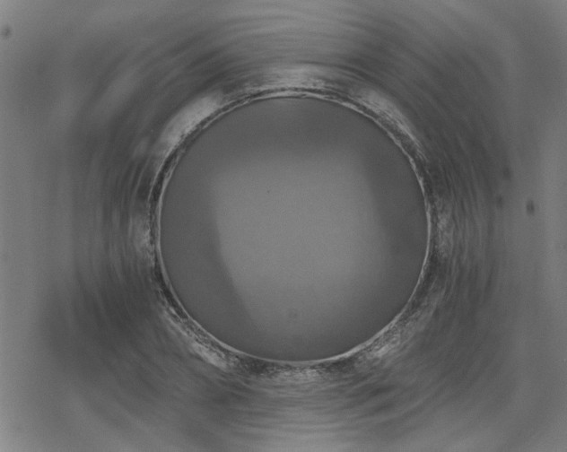 X0000069810882200605191043