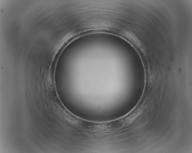 X0000069810883200605191043