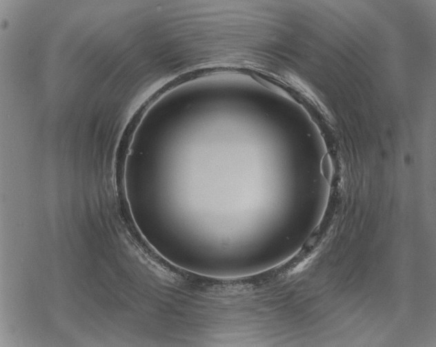 X0000069810884200605191043