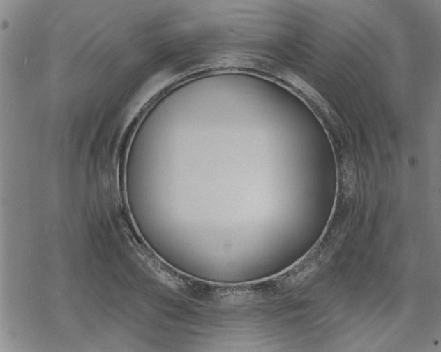 X0000069810886200605191043