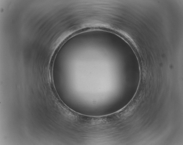 X0000069810887200605191043