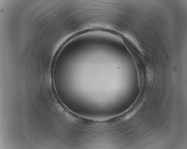 X0000069810888200605191043