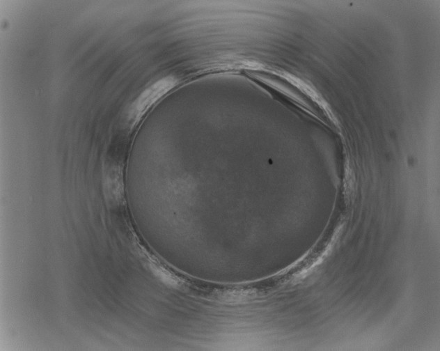 X0000069810889200605191043