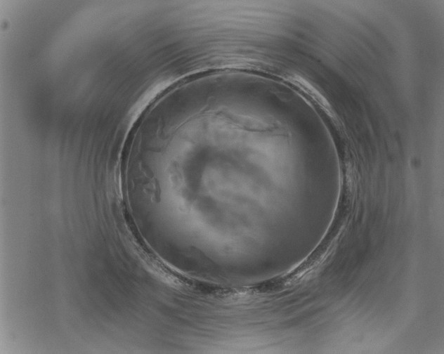 X0000069810891200605191043