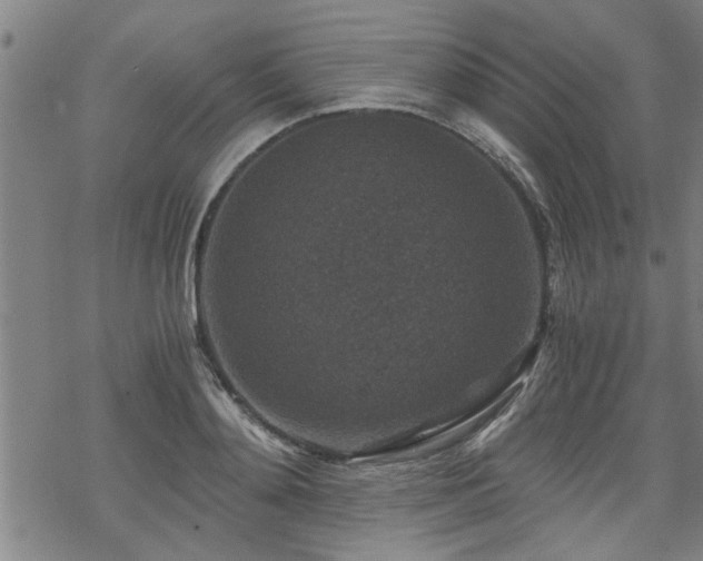 X0000069810892200605191043