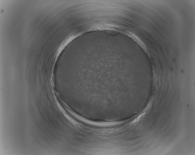 X0000069810893200605191043