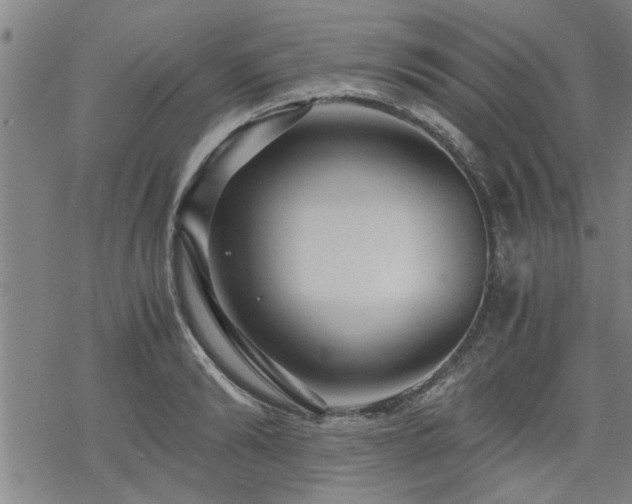 X0000069810894200605191043