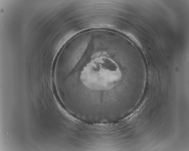 X0000069810895200605191042