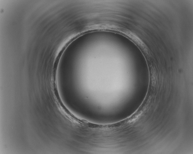 X0000069810896200605191042