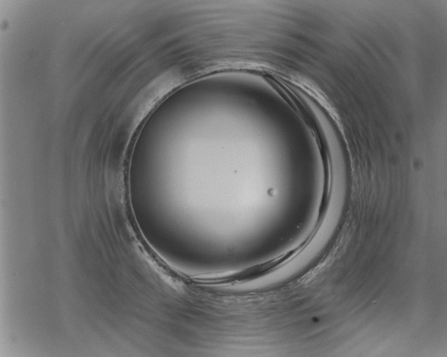 X0000069810898200605191042