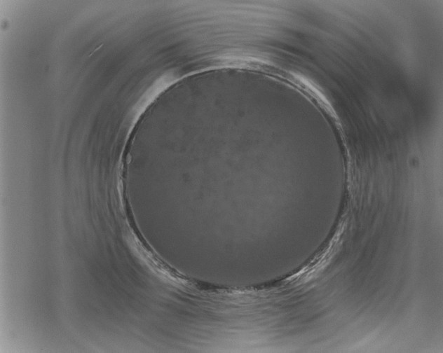 X0000069810899200605191042