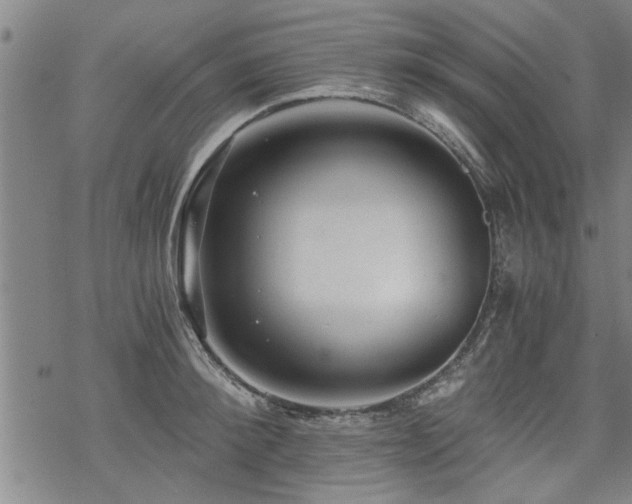 X0000069810900200605191042