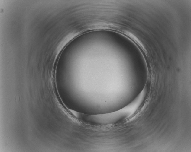 X0000069810901200605191042