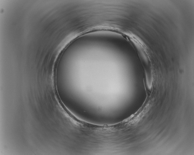 X0000069810902200605191042