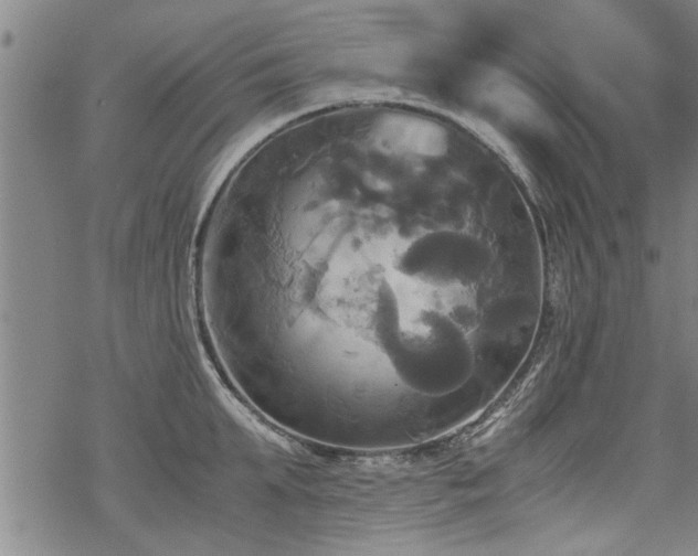 X0000069810903200605191042