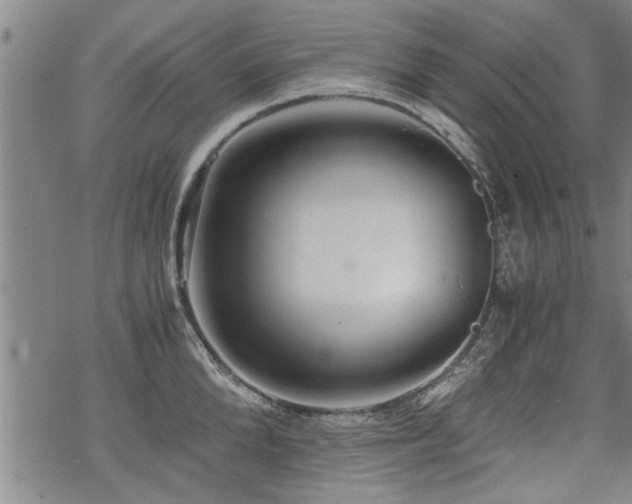 X0000069810904200605191042