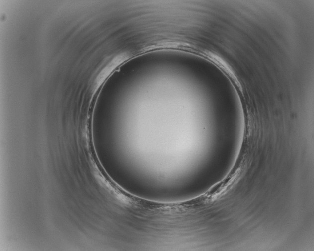 X0000069810906200605191042